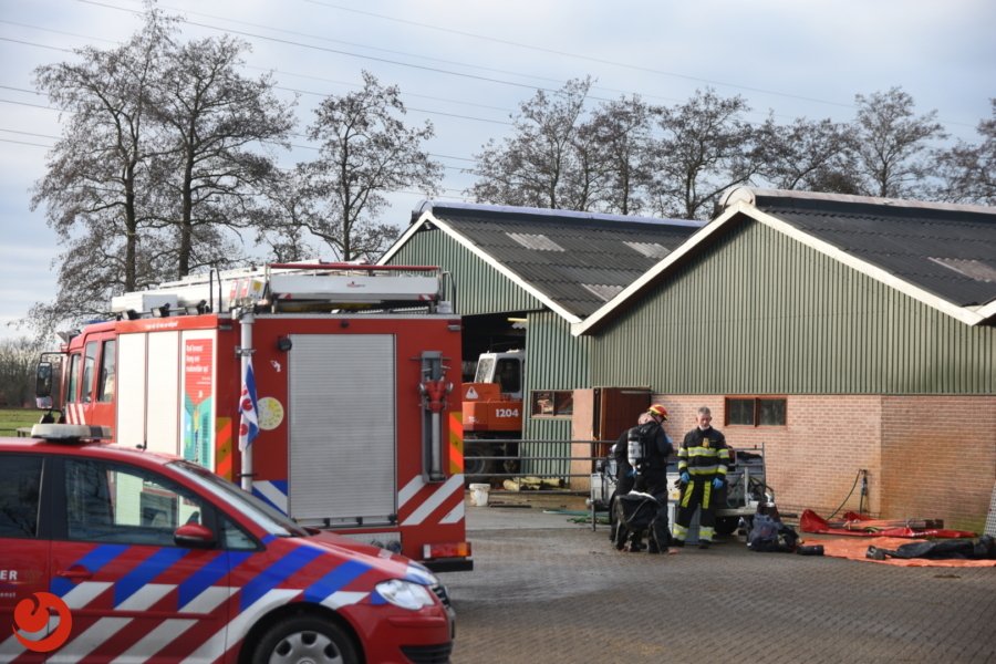 Brandweer haalt 20 koeien uit gierkelder - NOARDBURGUM – De brandweer is nieuwjaarsmorgen urenlang bezig geweest met twintig koeien die in een gierkelder terecht waren... -..
