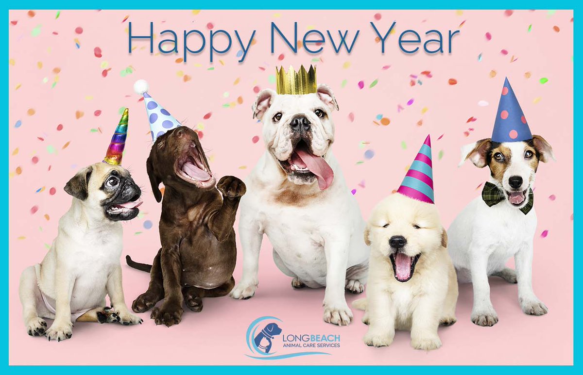 LBAnimalCare's tweet photo. LBACS would like to wish all of you a Happy New Year! #LBACSadoptapet #LBACScompassionsaves https://t.co/UGWfePRBKq