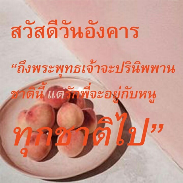 æจ๋อย tweet media