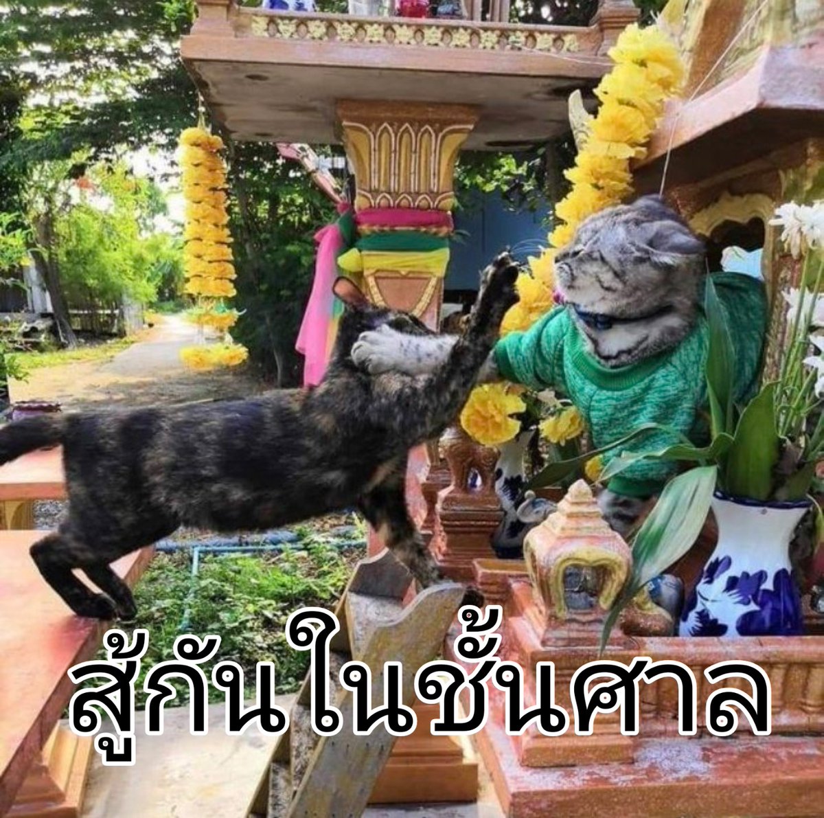 æจ๋อย tweet media