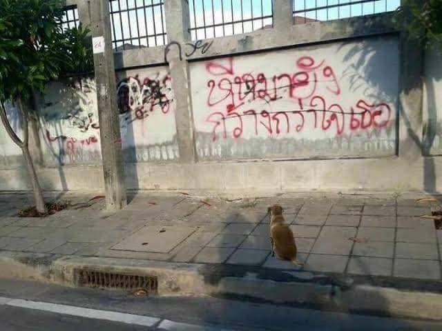 อีสัด ทำไมวะ55555555555555555555555555555555 ทำไมต้องมีหมายืนมอง