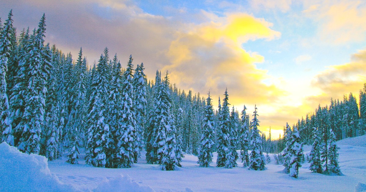 Happy New Year! From the entire Five Valleys team, thank you. Without our community, none of our work would be possible.

As we look to 2021, your support will enable us to continue to protect western Montana's natural legacy, now and for future generations. 

📸 <a href="/pnqueneau/">Paul N Queneau</a>