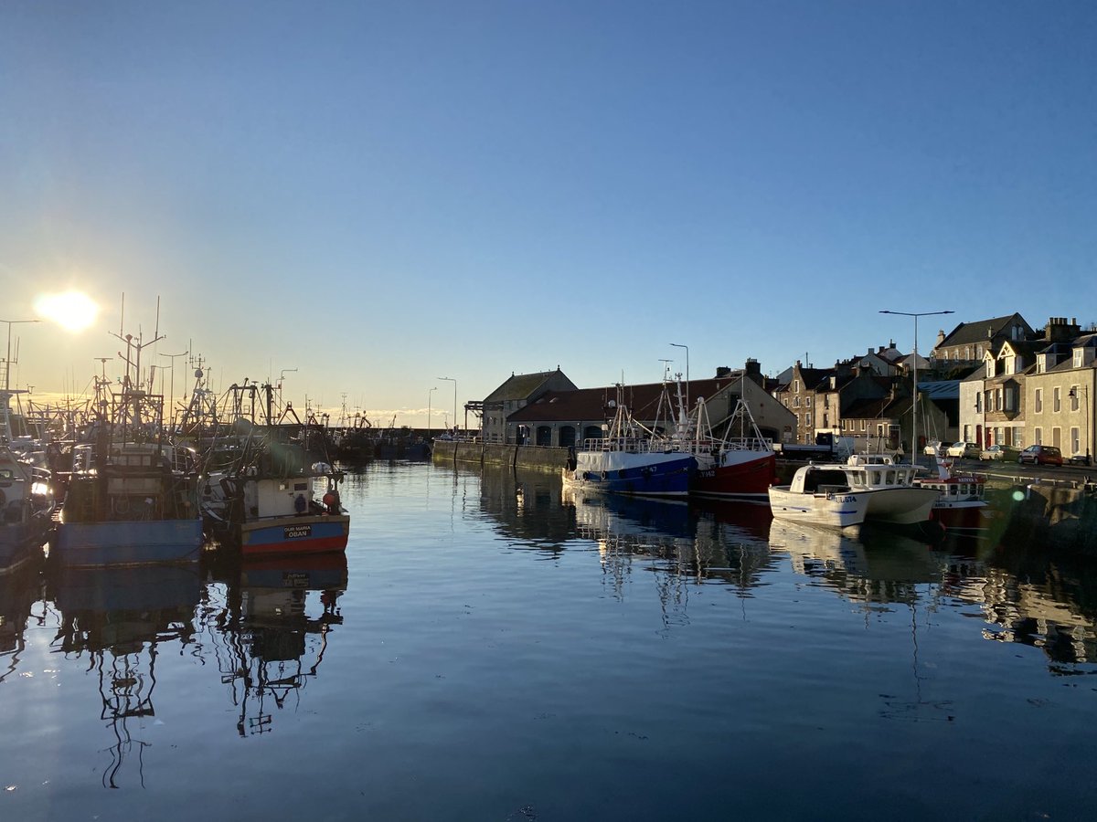 David Snodgrass tweet media