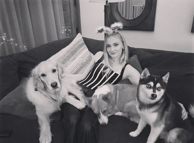 ⠀⠀⠀ ⠀⠀⠀⠀⠀⠀⠀

⠀⠀⠀ ⠀⠀⠀⠀⠀If this year isn’t better, 
 ⠀⠀⠀ ⠀⠀⠀⠀⠀⠀⠀ I’m tapping out.