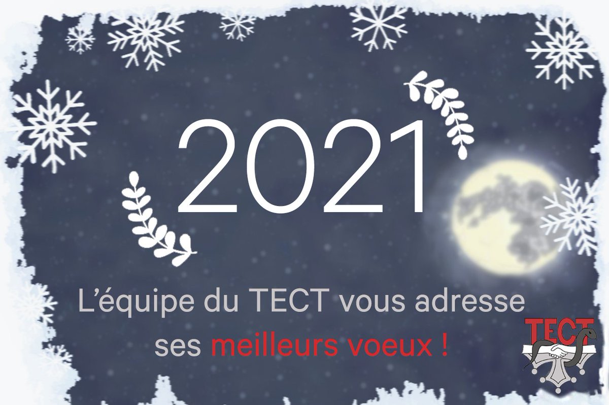 Tuto_TECT's tweet image. L'équipe du TECT vous souhaite une bonne année 2021 et vous envoie ses meilleurs vœux 🥳
En espérant que cette année vous soit couronnée de bonheur, succès et santé !
#bonneannee2021 #voeux2021 #HAPPYNEWYEAR