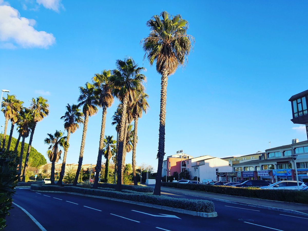 Nous vous souhaitons une belle et heureuse année, sous un soleil hivernal (photo datant de mercredi). #endlesssummer #lecapdagde #capdagde #occitanie #hérault #heraulttourisme #capagde #sun #skycolors #bluesky💙