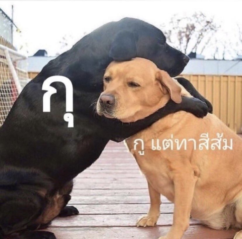 มุของม้า | อี้ป๋อไม่อมข้าวค่ะลูก 🐰🐽 tweet media
