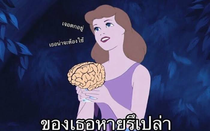 มุของม้า | อี้ป๋อไม่อมข้าวค่ะลูก 🐰🐽 tweet media