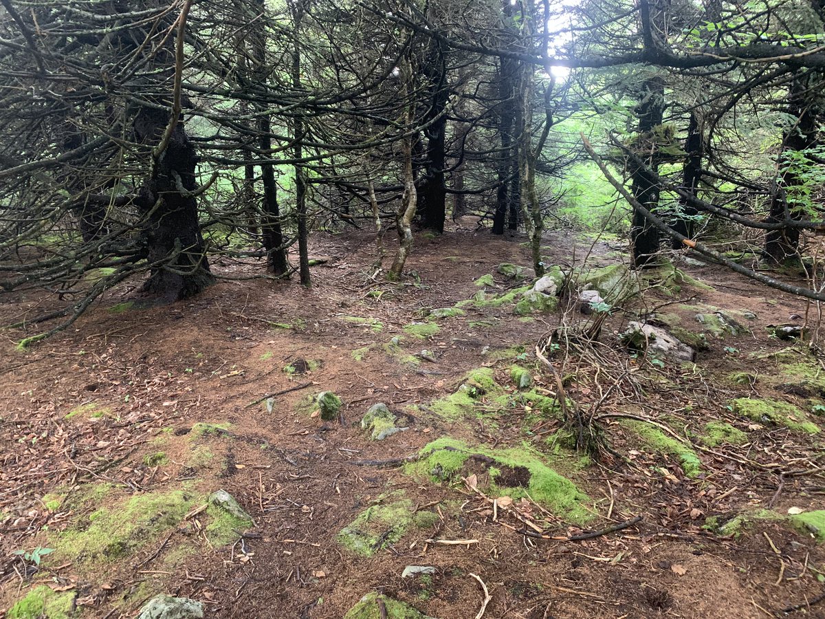 NickOliverKY's tweet photo. The adventures were great in 2020. Big stuff coming up in 2021. #OptOutside #traillove #climbmore #ExploreKentucky https://t.co/Si1pYDM3Sa