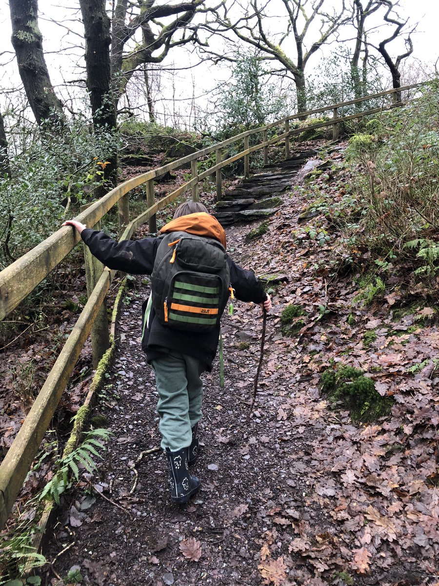 We’ve been out for our #30minutewalk today! Exploring #CoedDoctor in Gwynedd. 

#getoutside #getwalking #CymruamByth #forestbathing #January