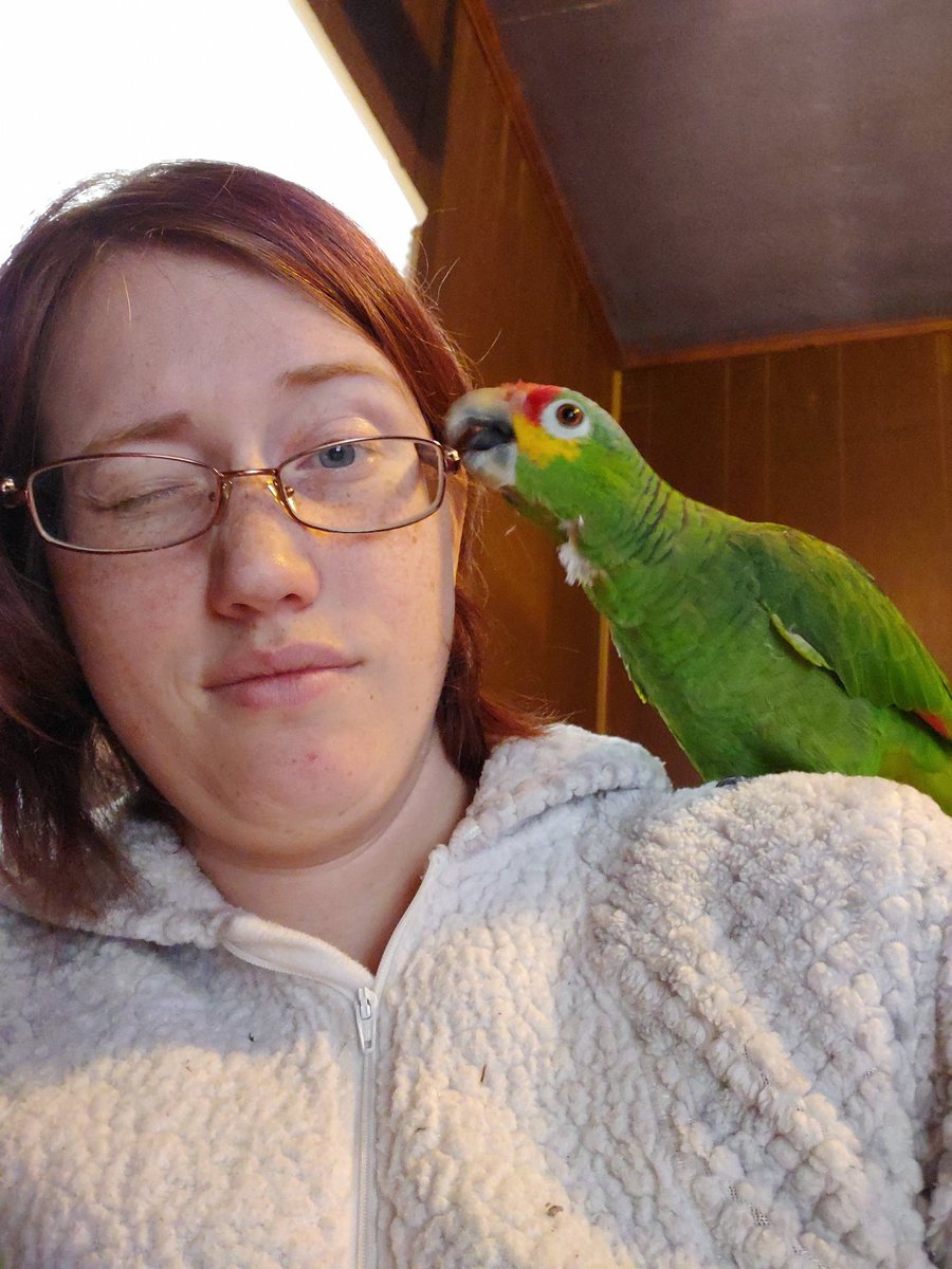A_HeiserWrites's tweet photo. Hanging with this beauty and improving new(ish) skills. Happy new year. https://t.co/v8tKpl8zUu