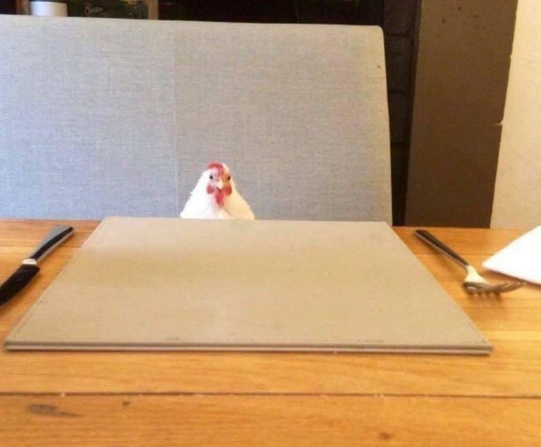 ordure (@ordurebizarree) on Twitter photo 