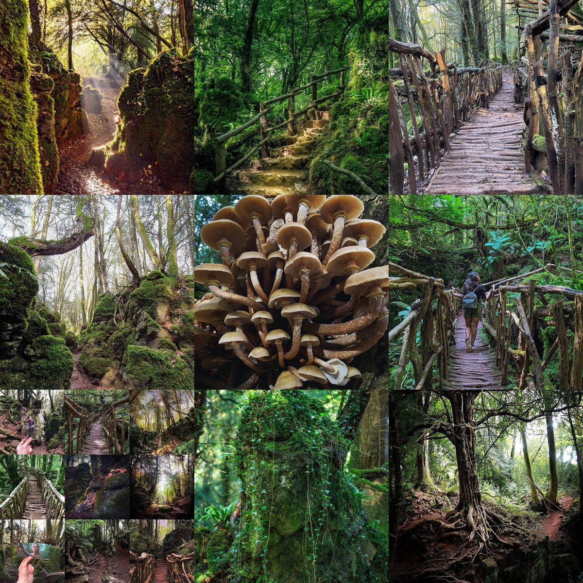 Happy New Year! Here are our top nine photos from Instagram in 2020 - full of beautiful shots of our magical woods.

We look forward to being able to open our doors and welcome you back here in 2021 🙏

#Puzzlewood #ForestOfDean #DeanWye #ForestFriday #Gloucestershire #LoveNature