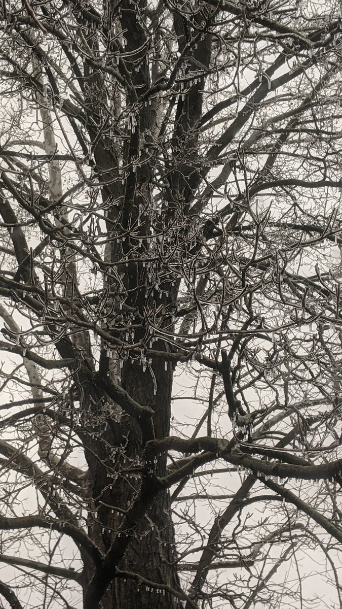 hymnnerd's tweet photo. Welcomed 2021 with some ice. It's beautiful, but also a good time to just stay inside. Learned that the hard way the first winter here 😂 #notfromthesouth #michigander #wheresmysnow❄️ https://t.co/2yXgGUwghM