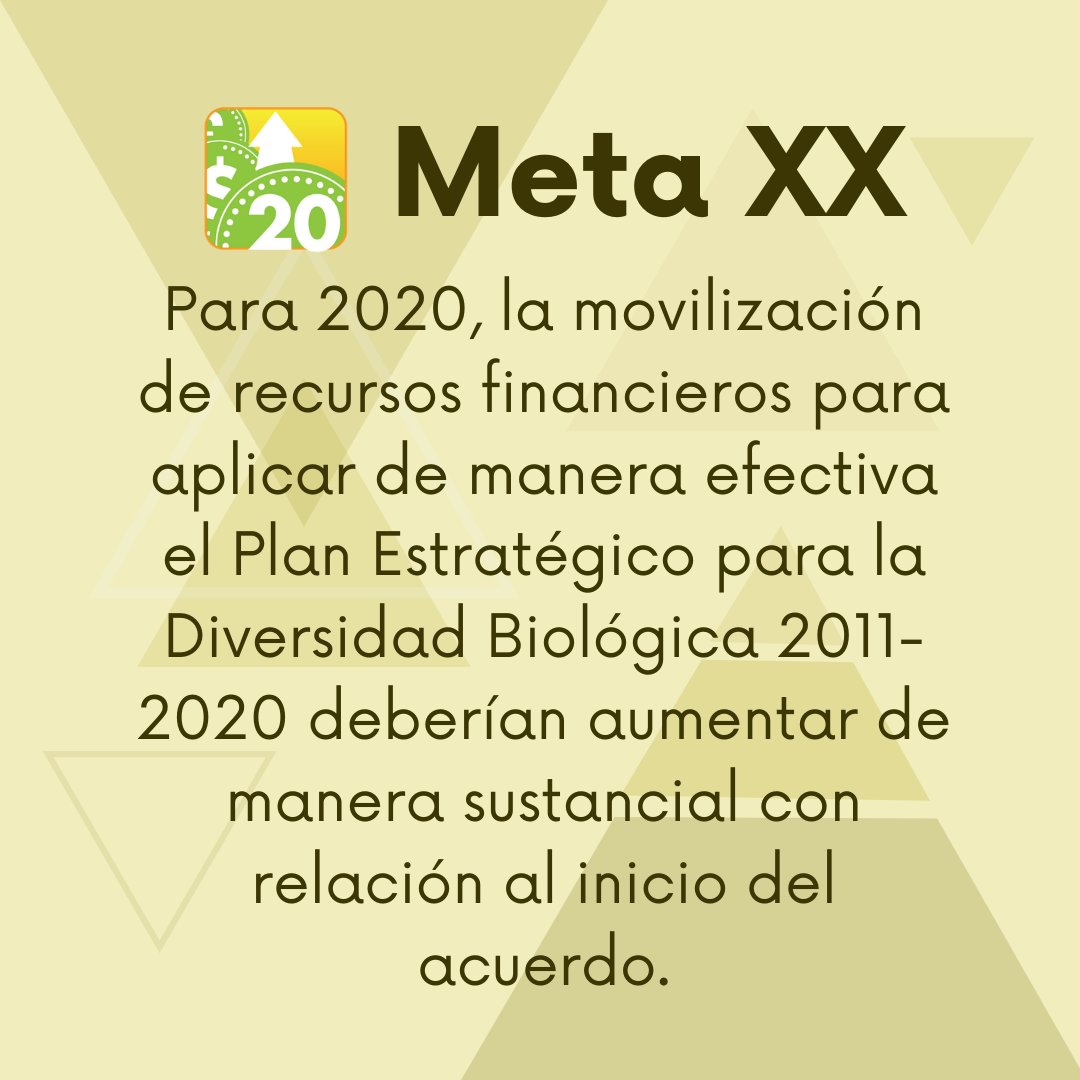SagaceCS's tweet photo. Llegamos a la última de las #metasaichi. La meta 20, donde la financiación para el Plan Estratégico para la Diversidad Biológica 2011-2020 debería ser mayor que el presupuesto inicial.
#UnaDécadaDespués #sagacecs #Emelemé #elestuario @el_estuario https://t.co/jxYmCElMpy https://t.co/YlmAE8Kxvq