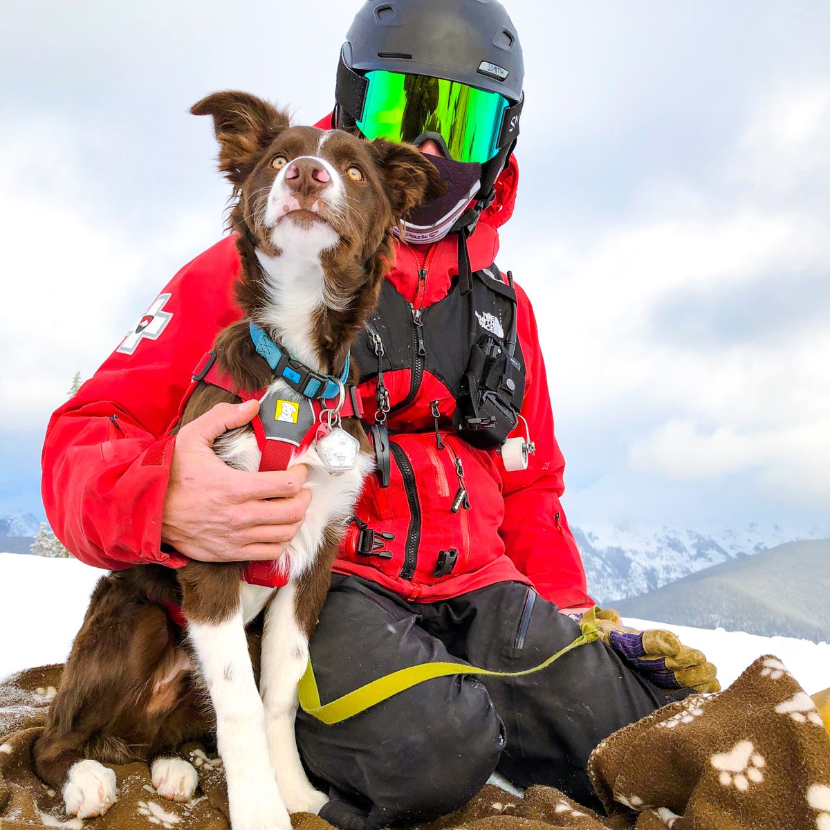 WinterPark's tweet photo. Happy New Year! We'd like to take this opportunity to introduce you to our newest avy dog in training, Gravy. ๐พ๐ @wpspdogteam ๐ธ: @jake_virus #WinterParkPups #AvyDog #WinterParkResort https://t.co/CudiUIqOp6