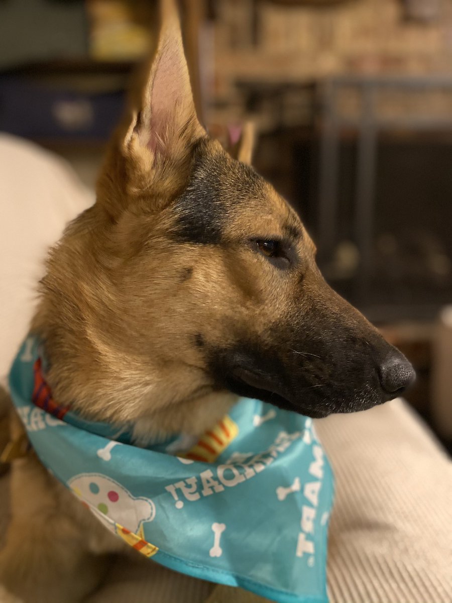 letsgetshelly's tweet photo. Happy New Years and happy birthday to my Boomer!! 🥳 https://t.co/akE3yZi897