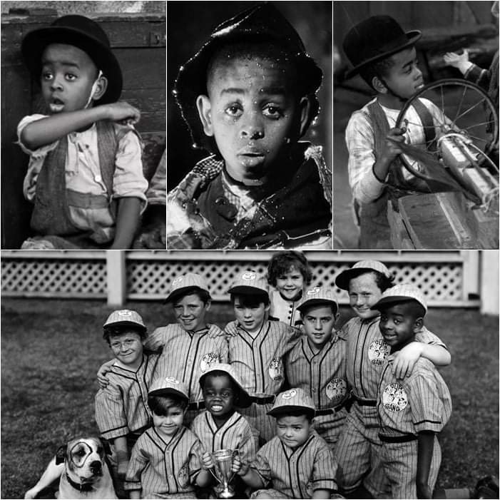 barbaravitali2's tweet photo. Remembering #MatthewBeard January 1,1925_January 8,1981 (Age 56) #TheLittleRascals #OurGang #Showboat #Hallelujah #Stymie #StymieBeard https://t.co/9C80Bmx0Im