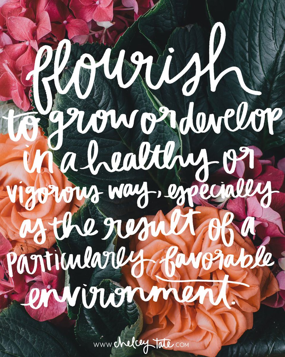 Susan Dobrow tweet media