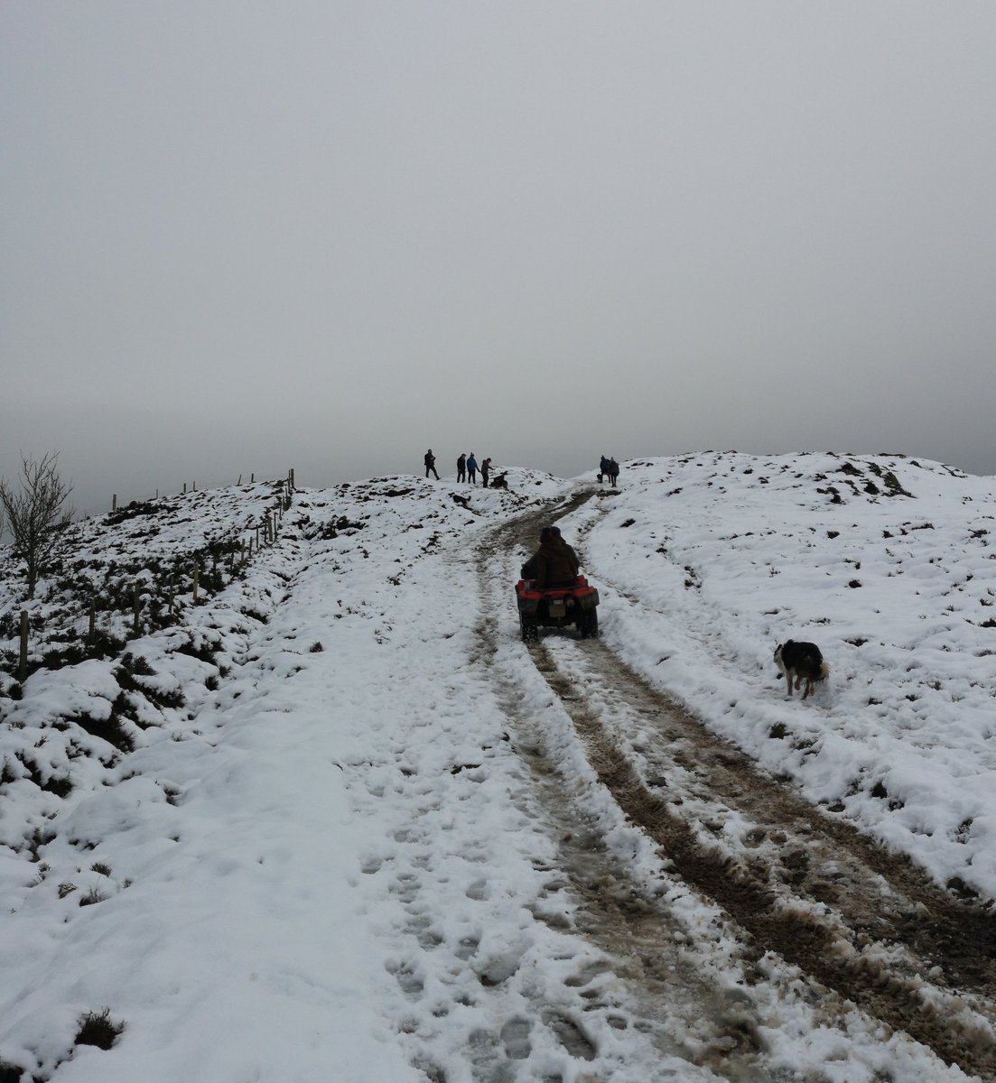 cejoynson's tweet photo. NYD hike up #penycloddiau today
#llangwyfan #coedllangwyfan #clwydianrange https://t.co/qboluVAbTr