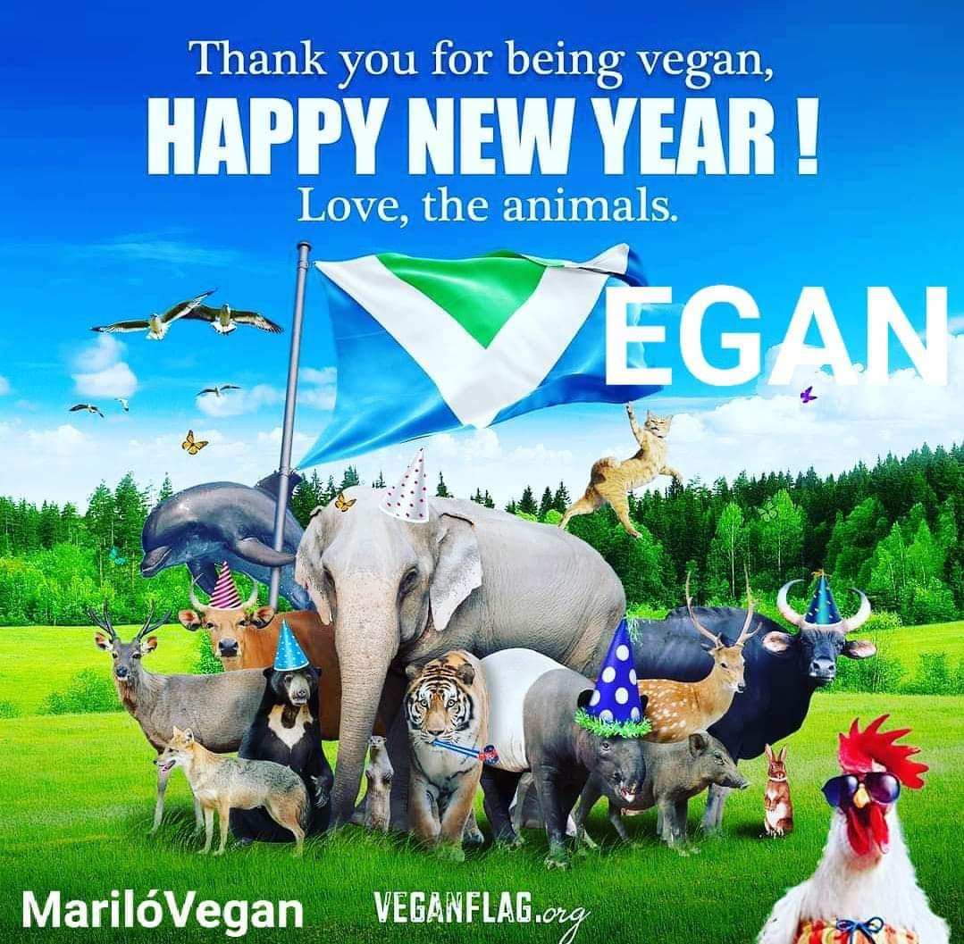 MariloVegan's tweet photo. Mención especial, a todos esos seres DIVINOS, qué han perdido la VIDA, este año, VÍCTIMAS del ESPECISMO, o de cualquier USO, ABUSO, o EXPLOTACIÓN ANIMAL. 
MILLONES de ANIMALES, han sido ASESINADOS, por la GULA, y el EGOÍSMO, de nuestra ESPECIE💔
🌱EG♥️N https://t.co/Xtql3xXznb