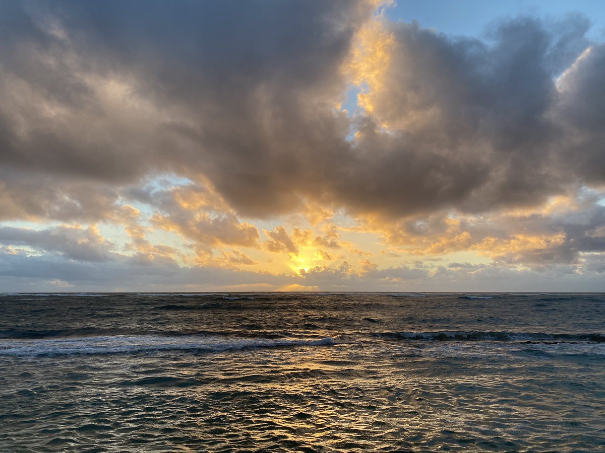 Happy New Year from our ‘ohana to yours!