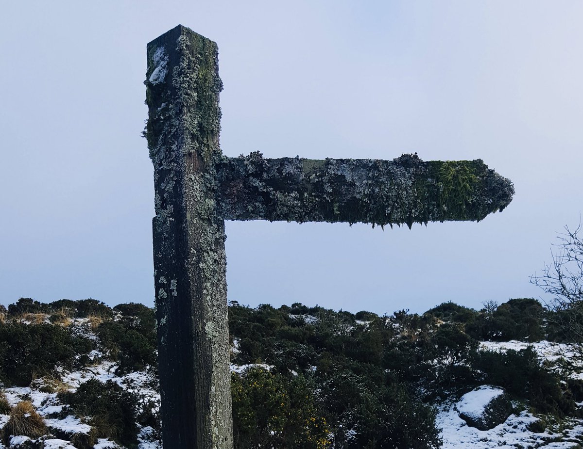 Launceston Lover tweet media