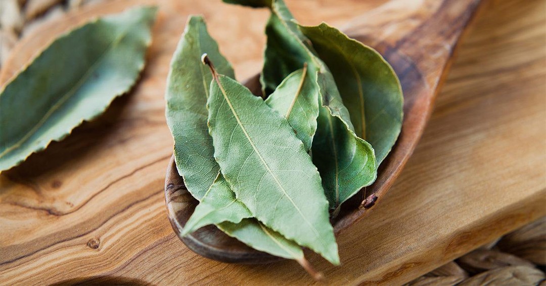 raining_zen's tweet photo. In folklore, the bay leaf is believed to grant wishes. In the kitchen, the bay leaf adds a savory taste to soups and stews while they simmer. Kate Freuler believes you can combine the best of both worlds on this New Year’s…

📸 https://t.co/YnDHawlKTL via https://t.co/d8NTfWGr77 https://t.co/6rsOsDJvac