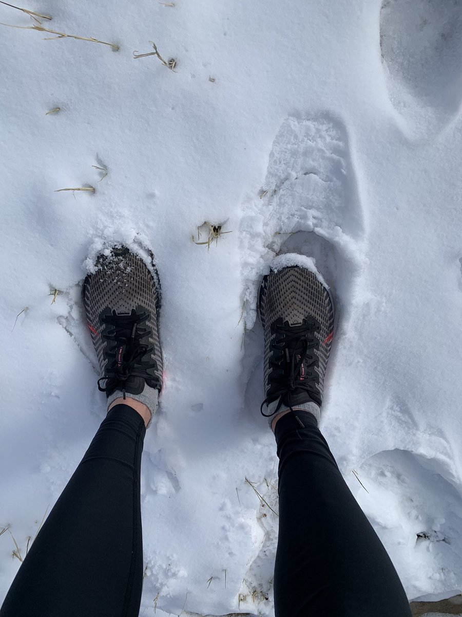 🏃‍♂️❄️❄️❄️❄️❄️. @TlatelolcoRun @SumandoKMx @templorunner @ComuniRunners @MeEncantaCorrer @DondeCorrerCDMX @ElegiCorrer @EntreRunners @yoelegicorrer1 @instarunmx @ademasCORREDORA