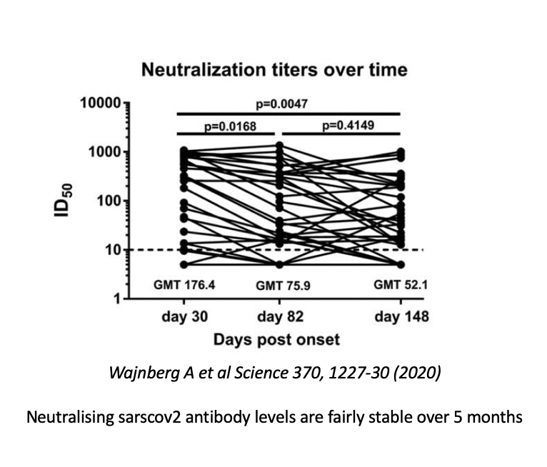 Despite initial concerns, the immune response appears to be reasonably long-lasting. Antibody levels remain stable for at least 5 months and memory B cells are formed that can provide long-term recall capacity. 6/