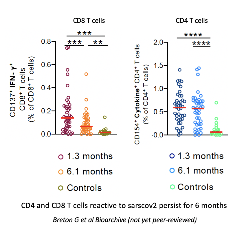 Likewise, the T cell response to  #SARSCoV2 appears to be only slightly decreased 6 months post infection. 7/