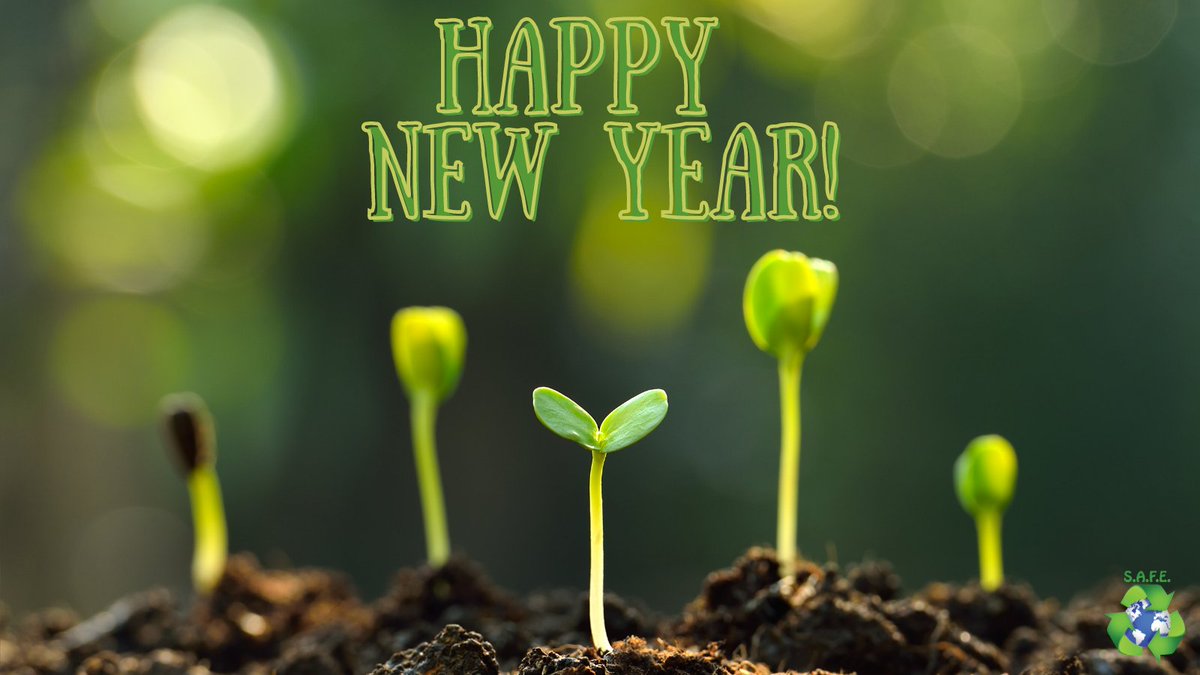 Happy New Year! Here's to 2021 being full of happiness and growth!
