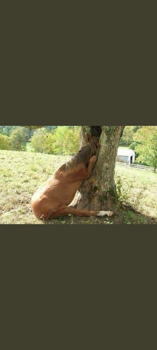 Quand tu lui fais un cuni après l'accouchement