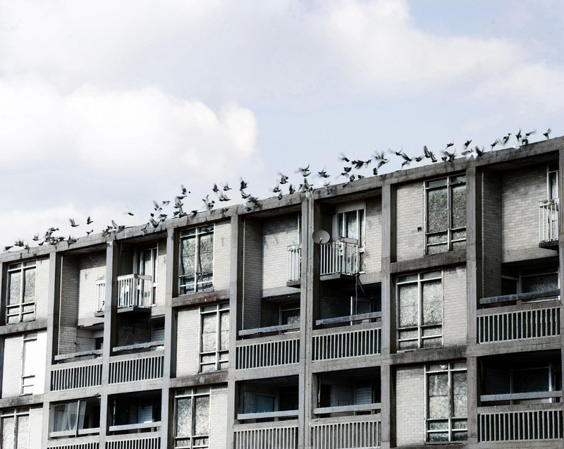 Le site était, à bien des égards, l’incubateur parfait pour un projet de logement ambitieux. Sa position élevée offrirait aux résidents une vue imprenable et de l’air frais. Étant donné le vent dominant du sud-ouest, le domaine échapperait aussi en grande partie à la pollution