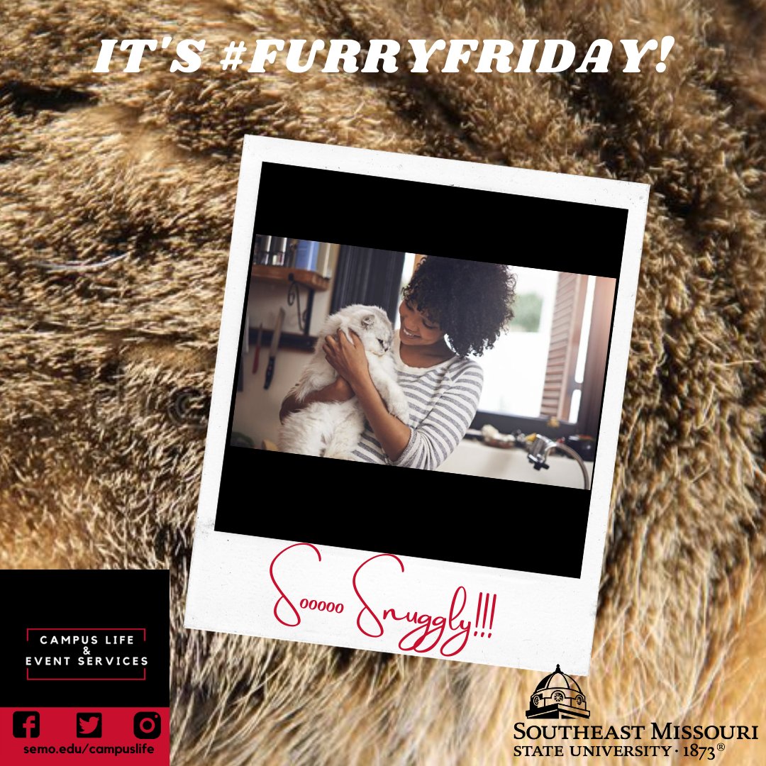 SECampusLife's tweet photo. We want to see those kitty cats!! Fill the @SECampusLife page with your feline friend. (Don't worry; other pets will be featured each week.) #FurryFriday #SEMOGetInvolved https://t.co/d5w1CU1ibg