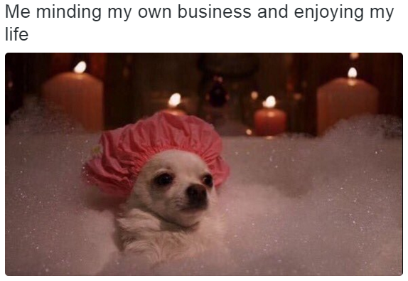womenshumor's tweet photo. 2021 Vibe https://t.co/uHBXMAL0IX