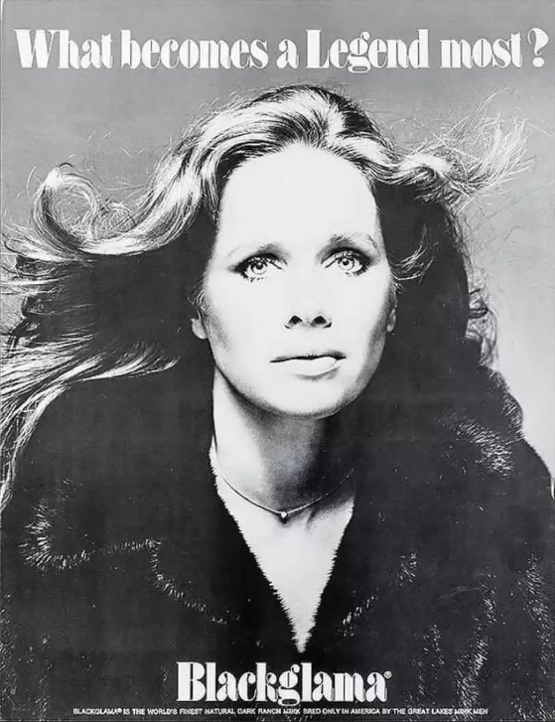 known as one of the popular ad campaigns, it featured just about every famous person you can think of