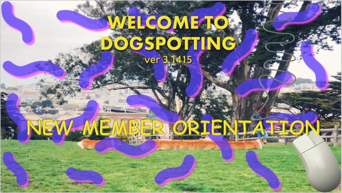 Dogspotting 🐶📸 tweet media