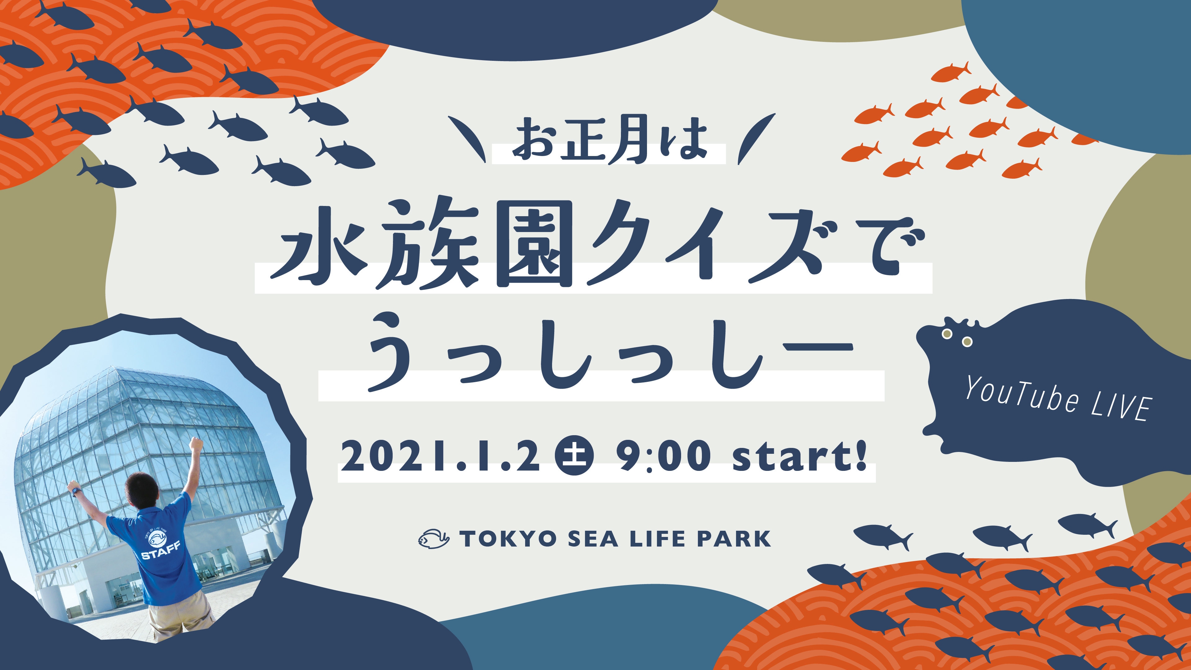 葛西臨海水族園 公式 You Tube Live お正月は水族園クイズでうっしっしー すべてのクイズの配信が終了しました ご参加の皆様 ありがとうございました アーカイブの公開とプレゼントの応募は明日3日まで みなさんにとって 21年が うっしっし