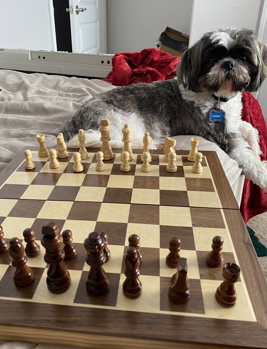 A worthy opponent