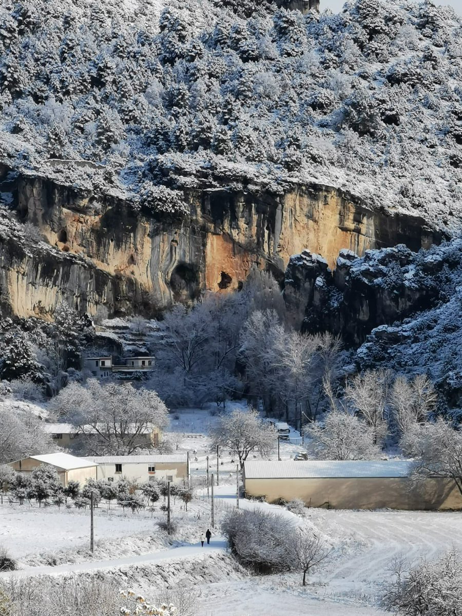 kikeCollada. tweet media