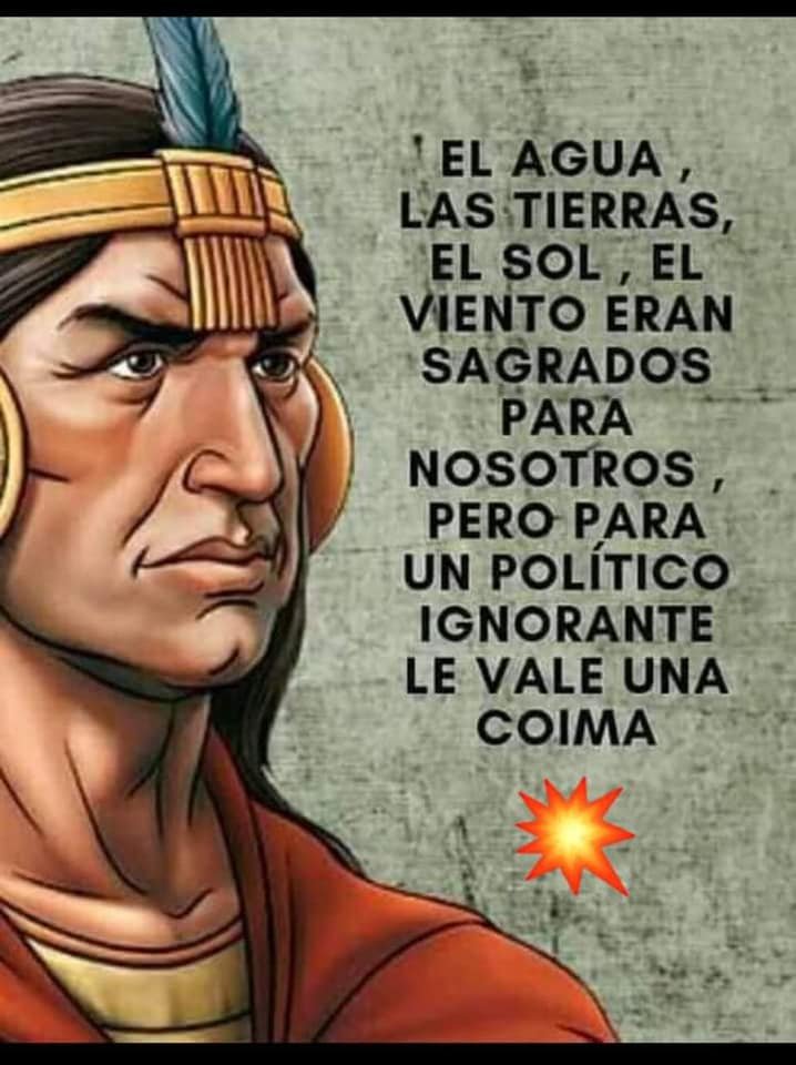 mtel5985's tweet image. A.Bernardita López Faundez
21 de agosto de 2020
Jorge Luchsinger Sabe usted cómo obtuvieron el fundo donde fallecieron  tus padres? 
Ese fundo era de #Gregorio_Llanquinao y sabes cómo se lo quitaron a GREGORIO LLANQUINAO? 
Lo #despojaron con carabineros y quien sabe con qué...