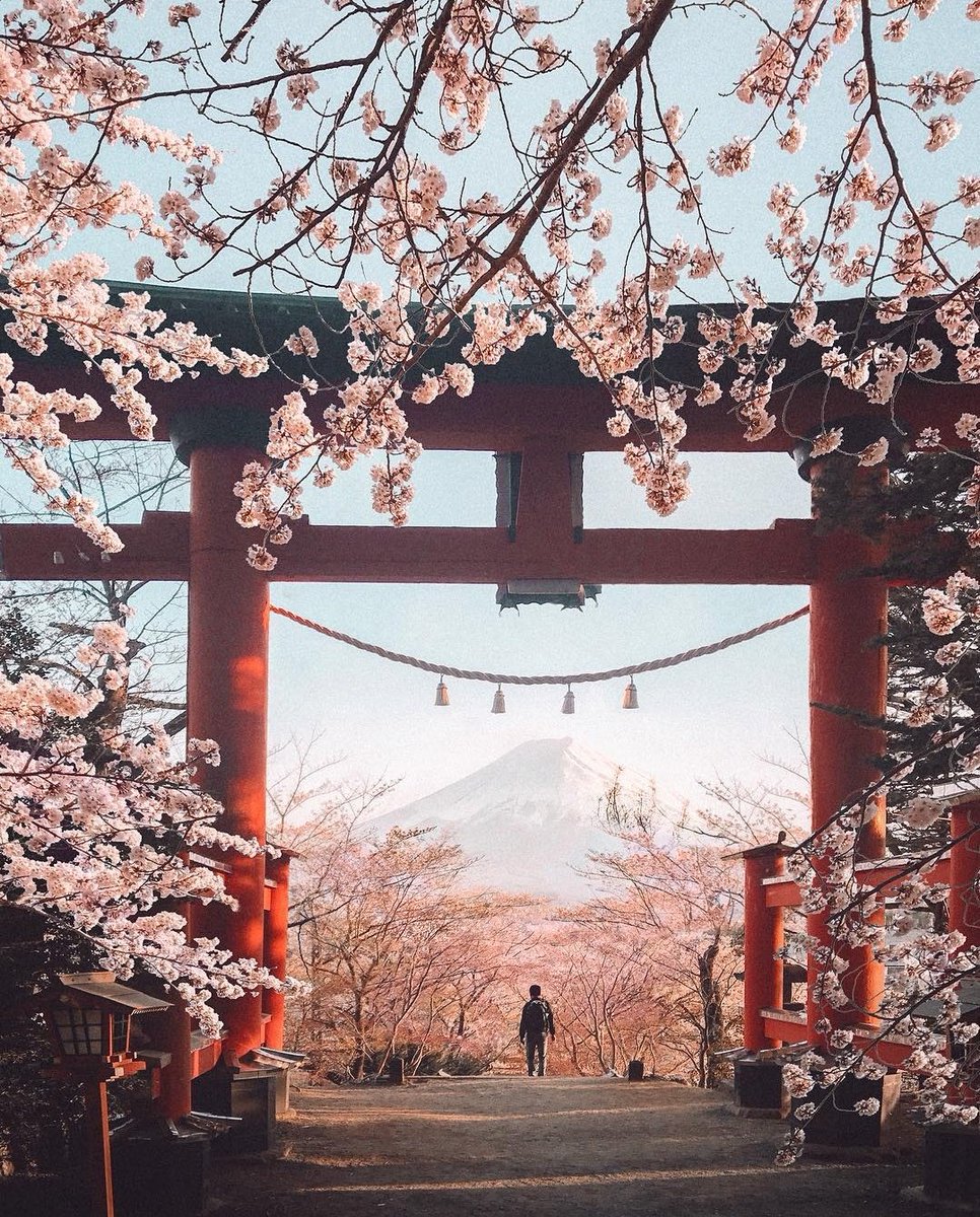 aesthetics tweet media