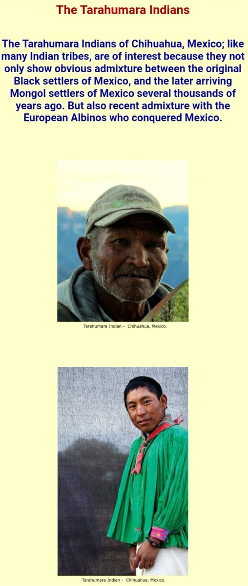 These are the mexican people in the days or yore. And if I didnt already talk about it yet and you are wondering why it says mongols,there was an invasion of mongols into the americas.(a few actually)But I'll get back to that later.