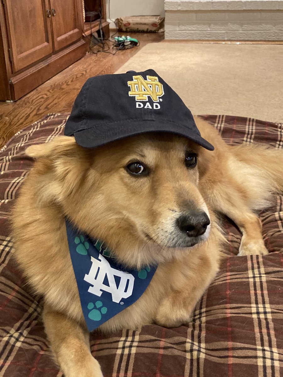 DrJMarine's tweet photo. Getting set for @NDFootball v. Bama at the #RoseBowl. Big challenge for the Irish, but Willow is ready! @apmille1 @MichaelJBlaha @Js08Paul #NDDad https://t.co/kgA8C3xYNa