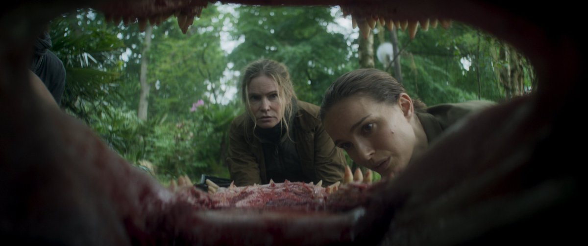 Концовка аннигиляции. Аннигиляция (алекс гарленд, 2017). Концовка аннигиляции. Гарленд аннигиляция. Аннигиляция (алекс гарленд, 2017).