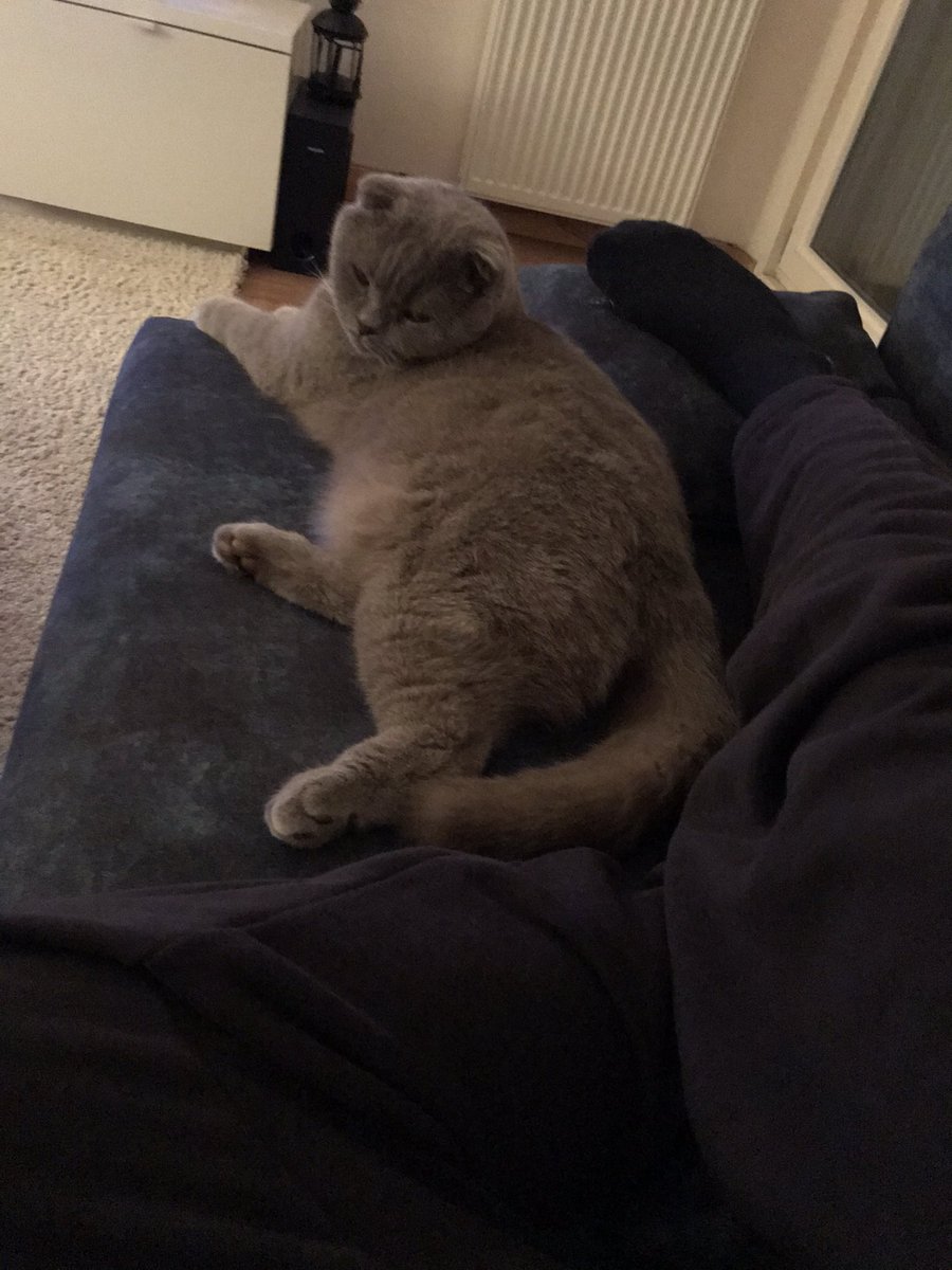 O kadar gönderi okudum ki. Hiç ilgi alakam olmadığı halde ben de özür dilemek için ikna oldum.  #özürdilerimşeyma