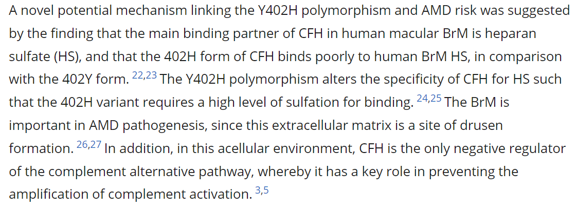  $FSDC Thrilling stock trading ystdy at/after 2 pm. Parking this nice paper on diminished CFH Y402H Bruch's membrane binding. Impt sulfation. Will show cell bio models soon.  http://iovs.arvojournals.org/article.aspx?articleid=2129335