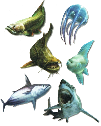 تويتر Bannedlagiacrus على تويتر Name Fish 魚類 Title Sharq Ancient Shark 古代鮫 Types Of Fish Carnivorous Fish 肉食魚 Sharq サメ Catfish ナマズ Gajau ガライーバ Migratory Fish 回遊魚 Tuna