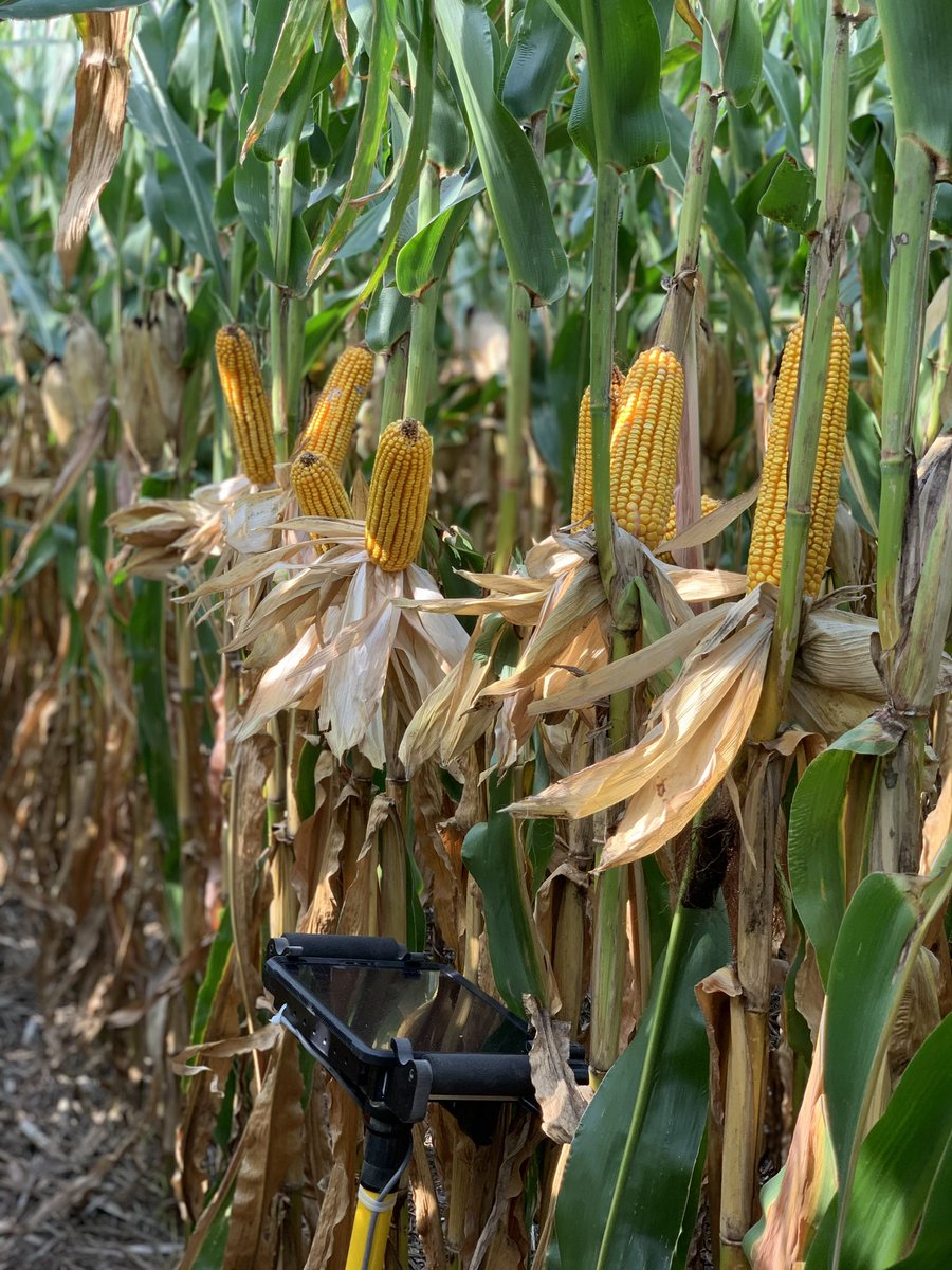 Brick Street Precision Ag tweet media